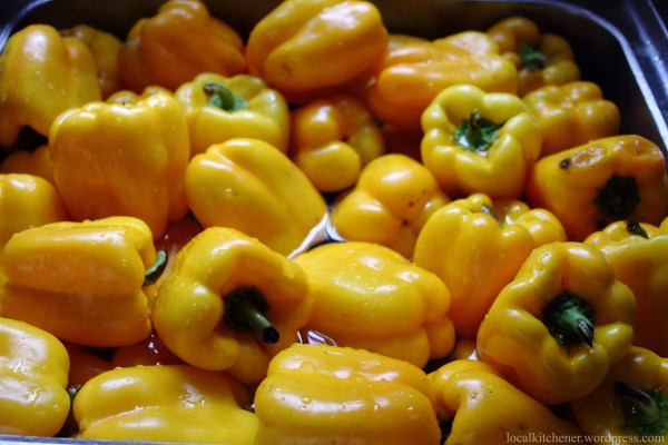 Sweet Peppers for Preppers